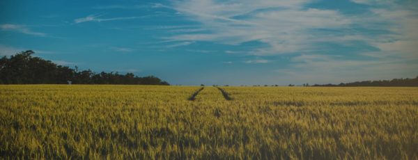 The Global Commission on Adaptation