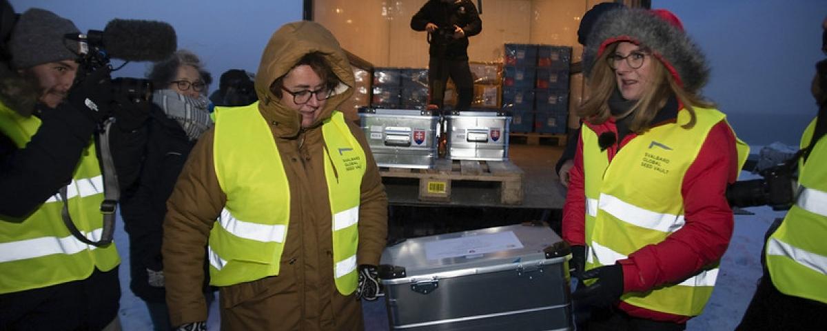 doomsday vault essay doomsday vault essay