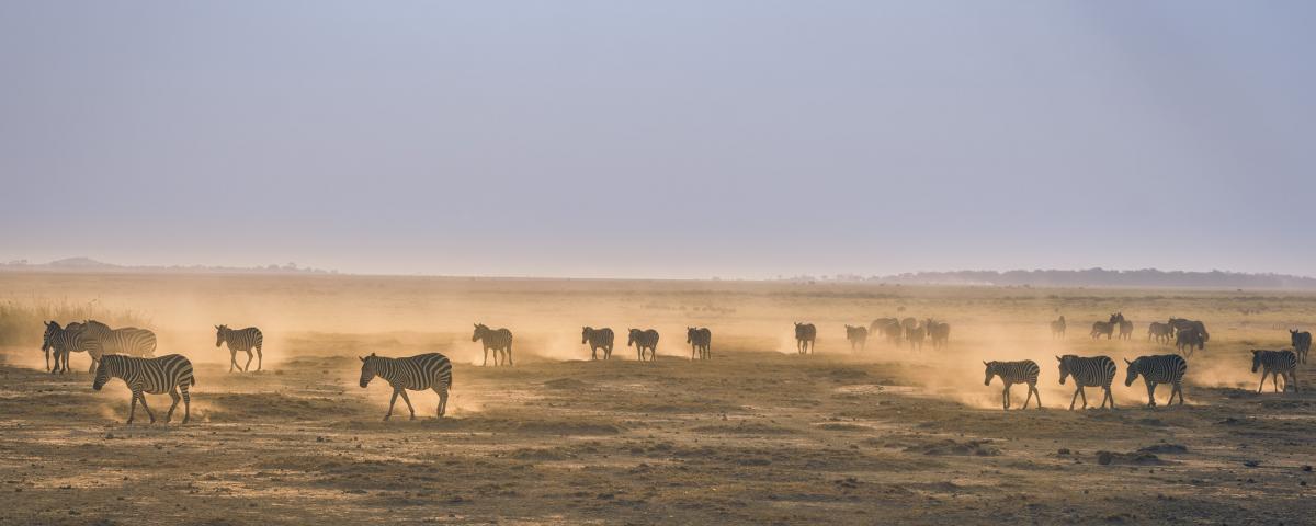 climate-change-is-a-reality-for-kenya-this-is-how-it-s-adapting