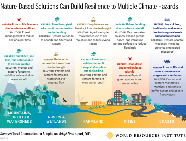 climate change adaptation case study flooding