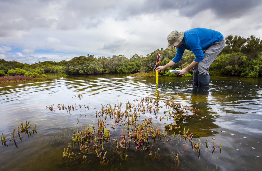 5 Ways Wetlands Are Crucial To Climate Change Adaptation Global 