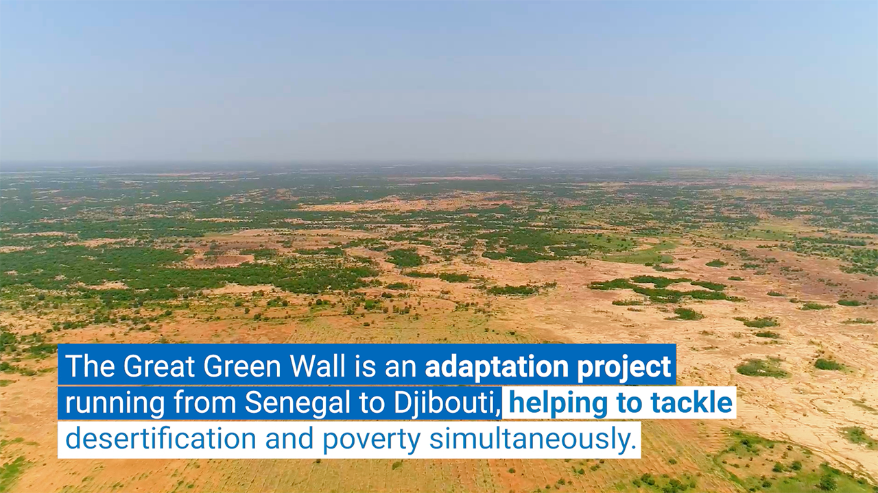 Climate Adaptation Solutions Action Against Desertification (The Great