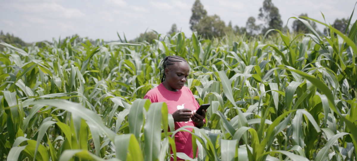 Regional Forum on the Future of Resilient Food Systems in Africa ...