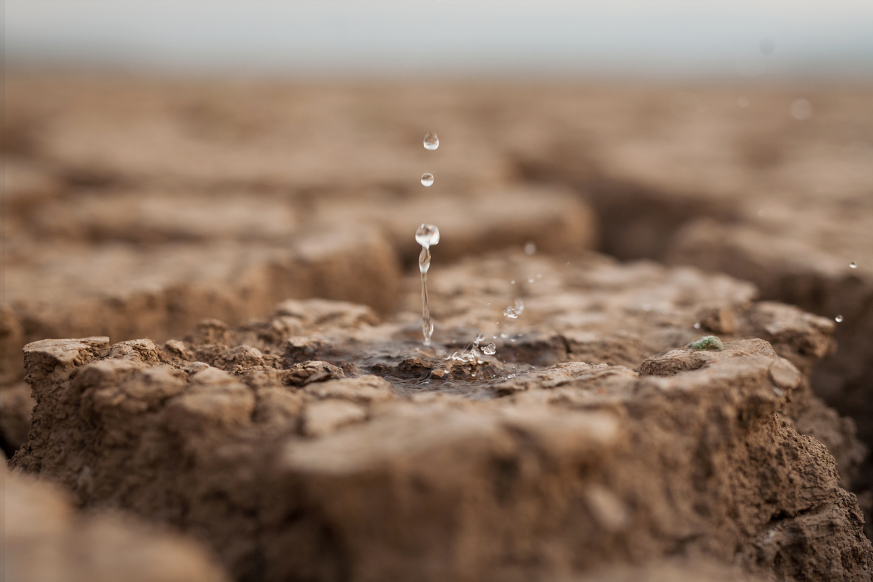 Unveiling the Hidden Crisis: Why the Water Crisis Must Be Included in COP29’s Climate Adaptation Strategy – Global Center on Adaptation