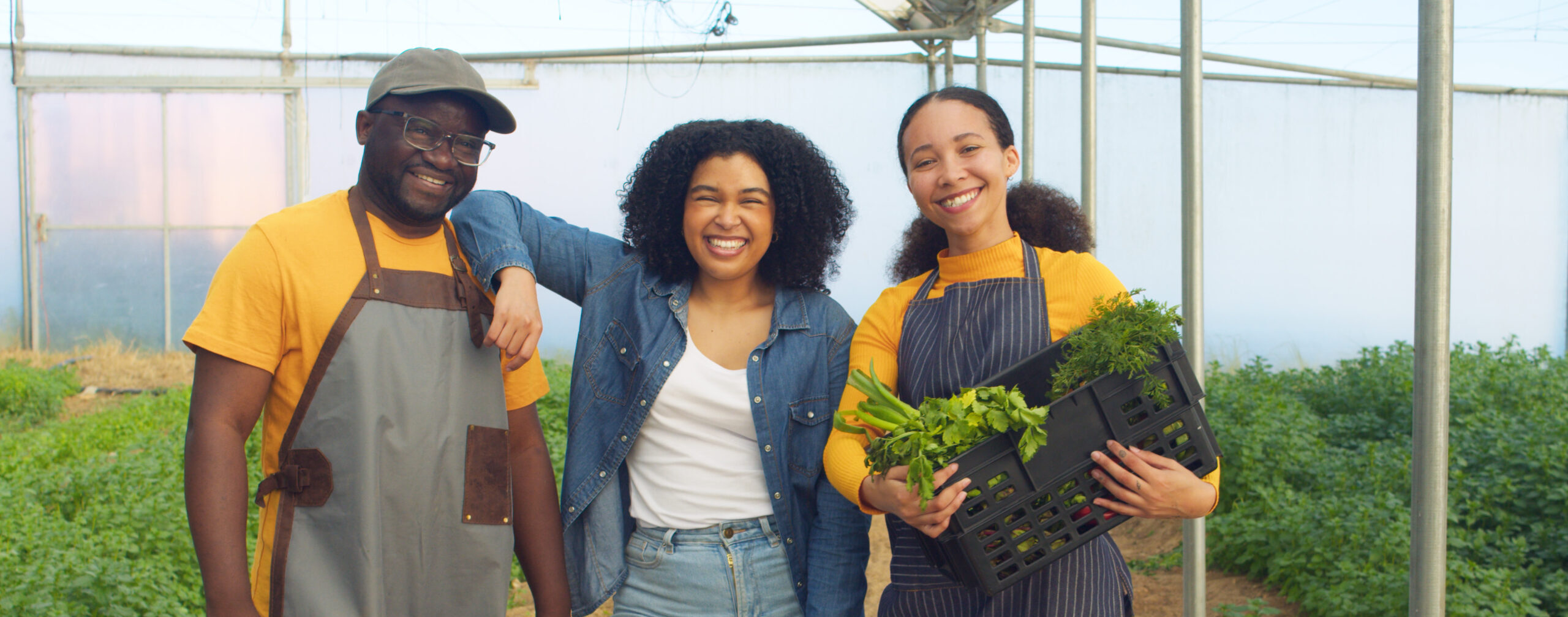 From Skills to Solutions: How Climate Adaptation Training Can Fuel Youth Entrepreneurship and New Job Creation