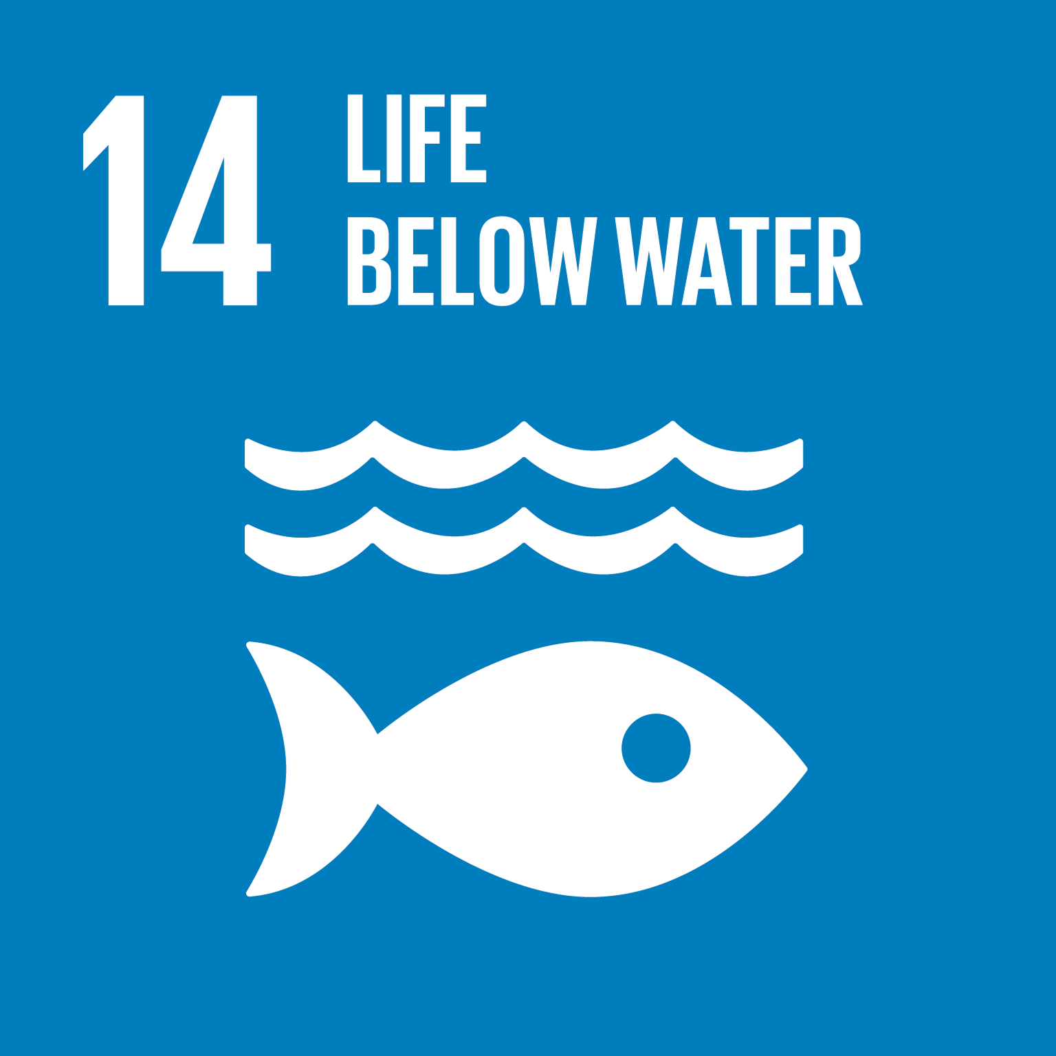 sdg-image