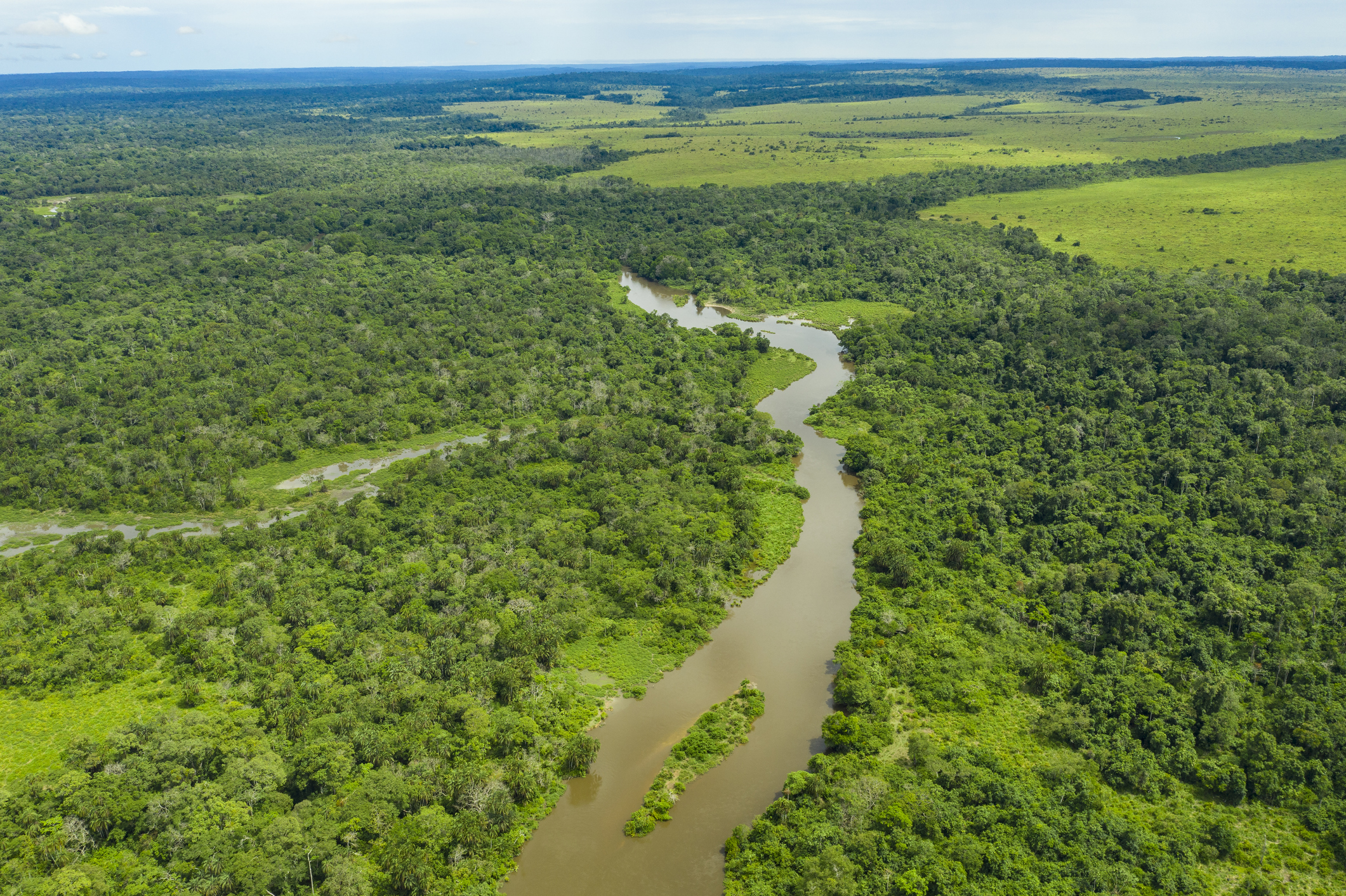 Meandering jungle river in the rainforest of the Congo Basin