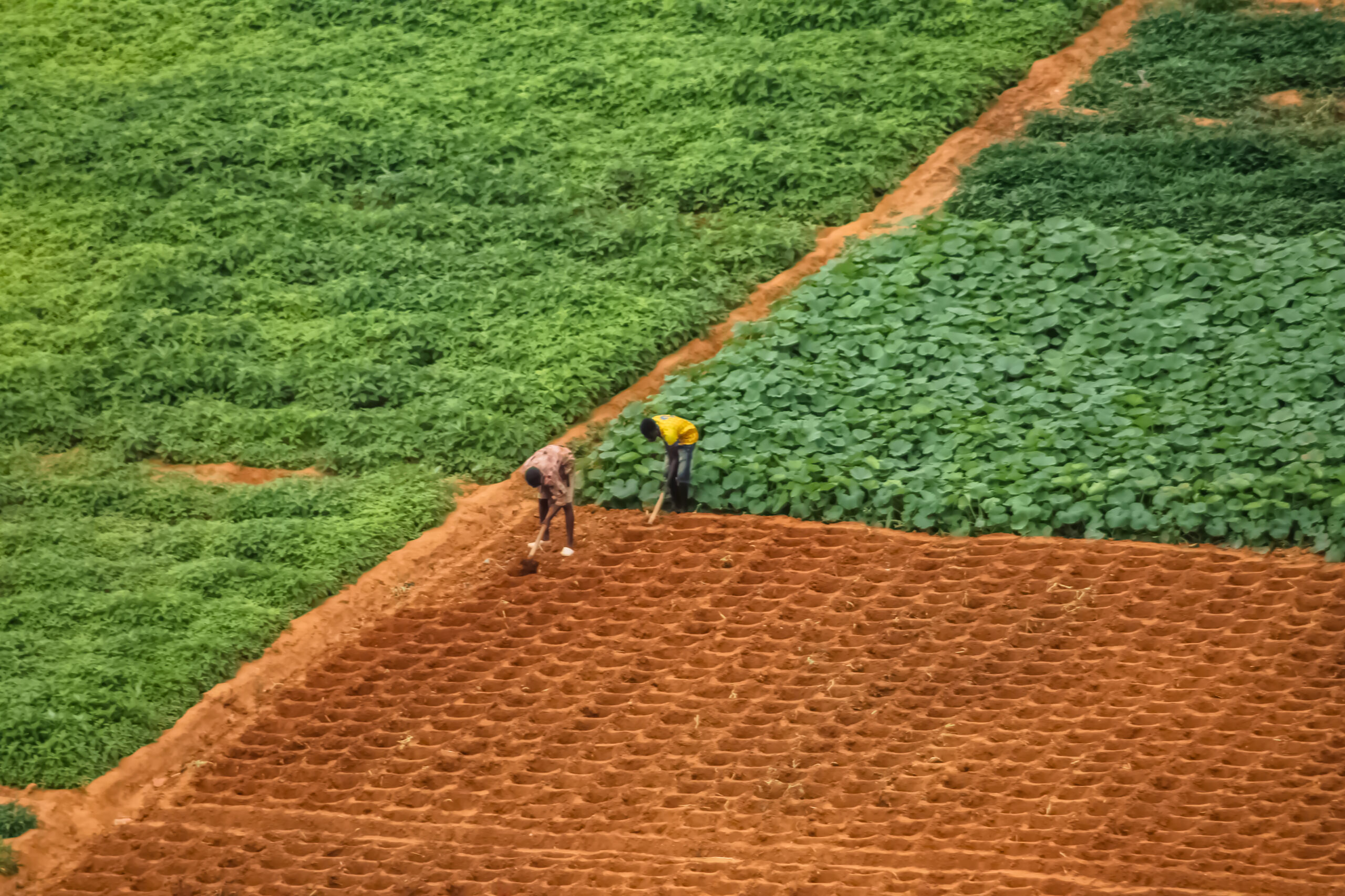 GCA with African Development Bank to Strengthen Climate-Resilient Agricultural Value Chains in Eastern Angola – Global Center on Adaptation
