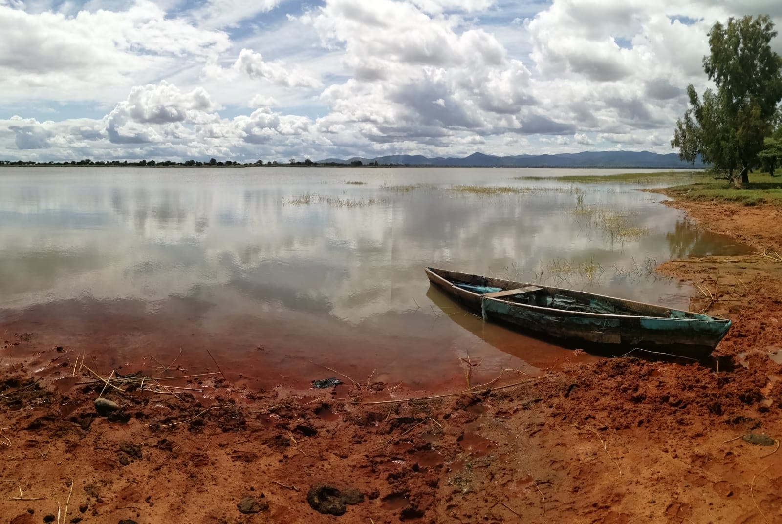 New Report shows Investing in Nature Can Deliver Up to Eight Dollars in Benefits for Every Dollar Spent on Climate Adaptation - Global Center on Adaptation