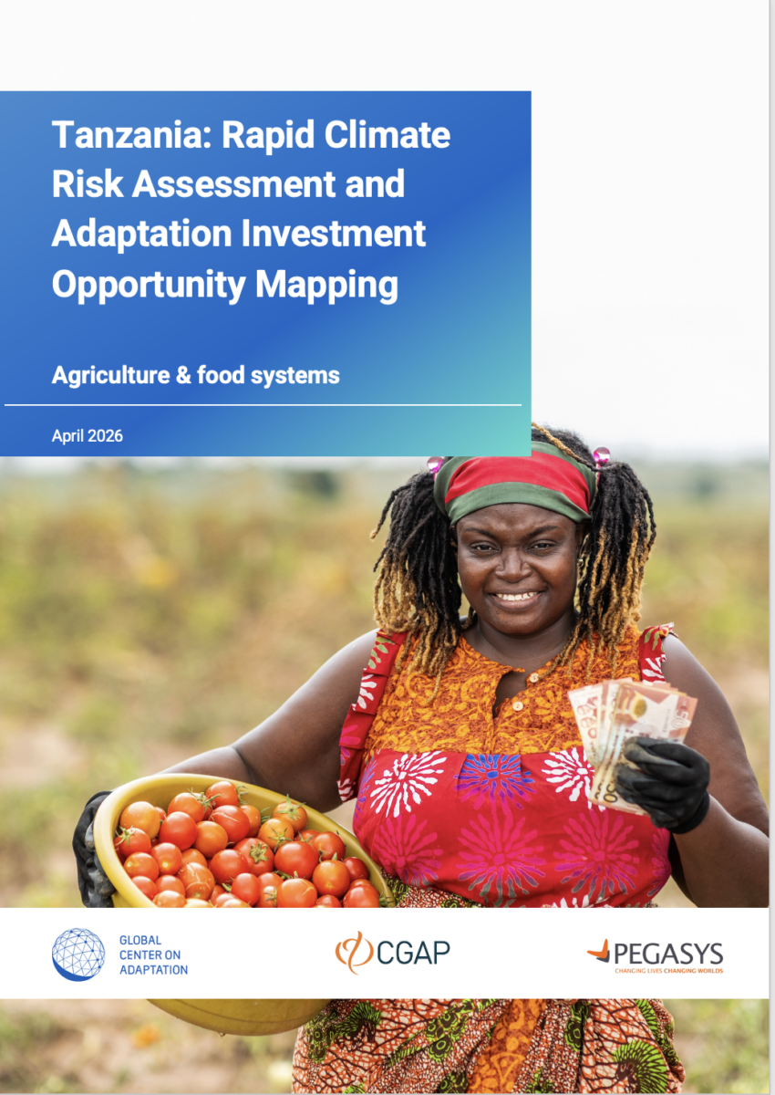 Climate Adaptation Investment Markets in Africa - Global Center on ...
